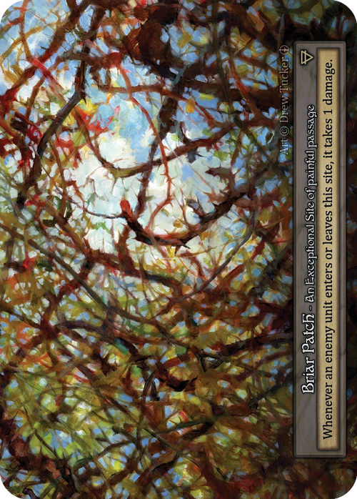 Briar Patch — Arthurian Legends Standard
