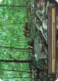 Pebbled Paths — Arthurian Legends Standard