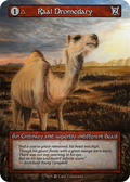 Raal Dromedary — Beta Standard