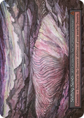 Shifting Sands — Beta Standard
