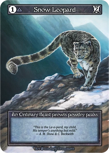 Snow Leopard — Beta Foil