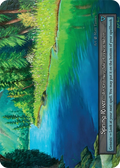 Spring River — Beta Standard