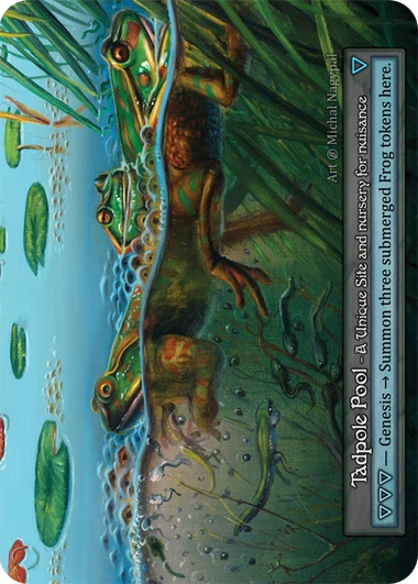 Tadpole Pool — Beta Standard
