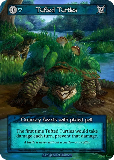 Tufted Turtles — Beta Standard