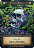Carrion Beetles — Gothic Standard