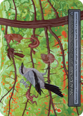 Shrike Orchard — Gothic Standard